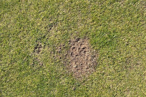 Hjälp oss att laga banan  1 december!