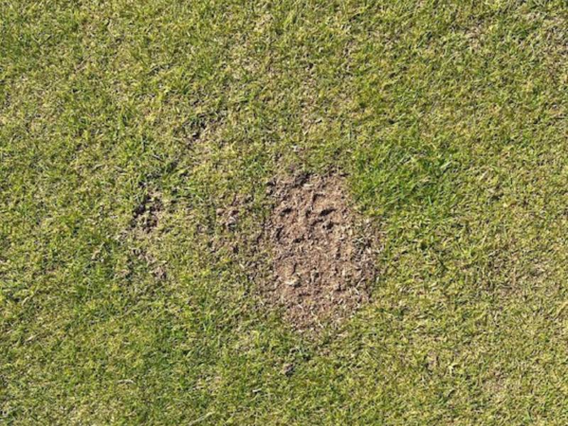 Hjälp oss att laga banan  1 december!