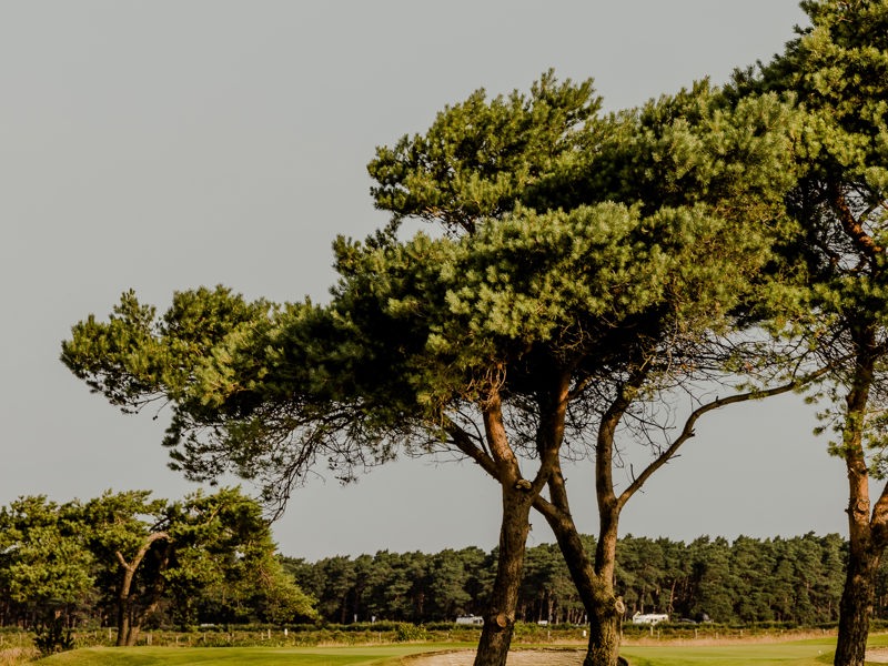 Vinst i Ryder Cup mot Falsterbo