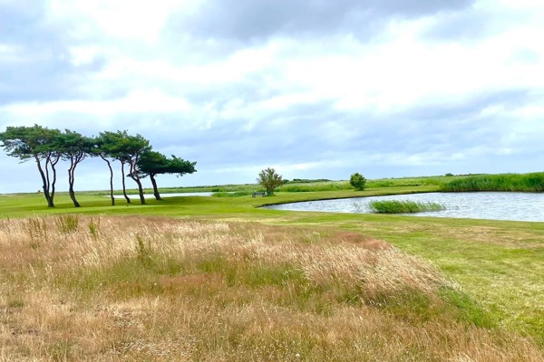 Ljunghusens Golfklubb 90 år - 8 juli 2022