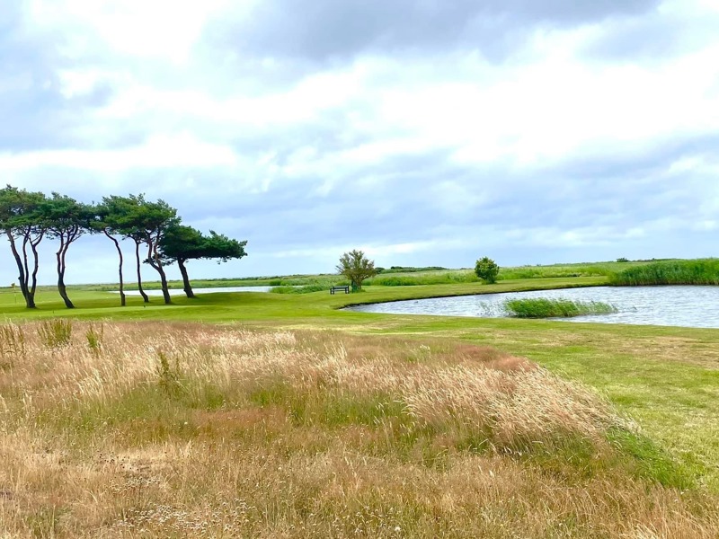 Ljunghusens Golfklubb 90 år - 8 juli 2022