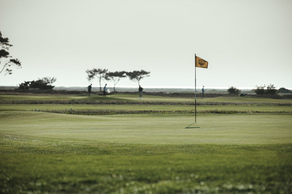 Ljunghusen Hickory Open