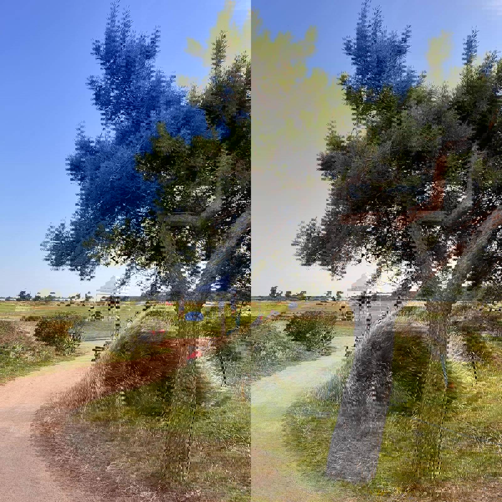 363935609 760689762729033 7671640888093360018 N