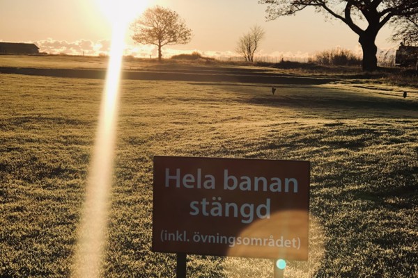 Vinterfrosten förhindrar tidigt morgonspel